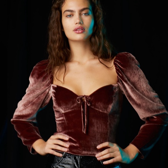Aritzia Tops - WILFRED ARITZIA Novella velvet top